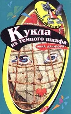 Анна Данилова Кукла из темного шкафа обложка книги