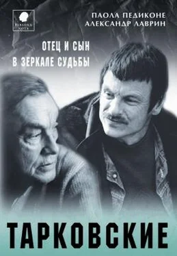 Паола Педиконе Тарковские. Отец и сын в зеркале судьбы обложка книги