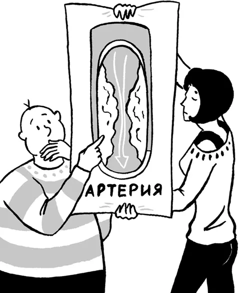 Это ещё раз доказал эксперимент который провели в Университете Коннектикута в - фото 6
