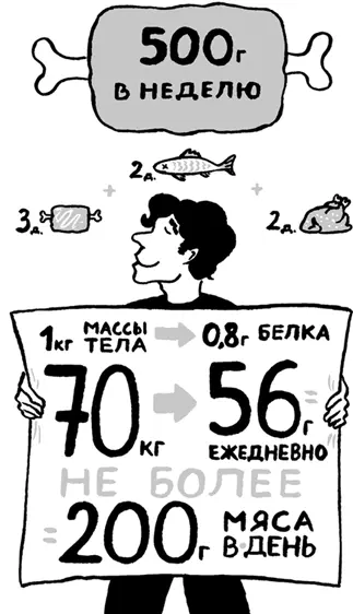 Базовые биохимические процессы которые запускаются при избыточном - фото 14