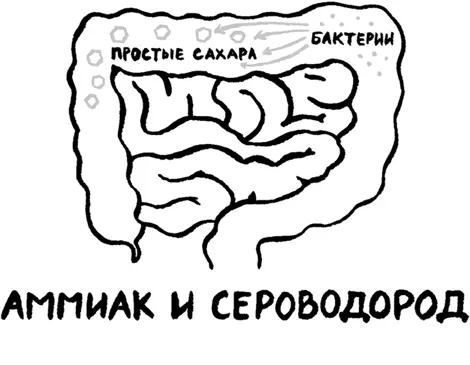 Можно сказать что горох это настоящий витаминный колодец В нём есть все - фото 27