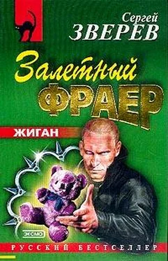 Сергей Зверев Залетный фраер обложка книги