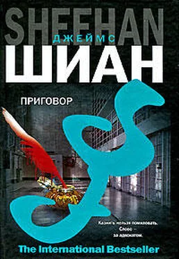 Джеймс Шиан Приговор обложка книги