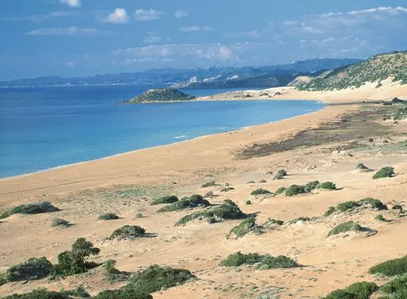 Golden Sands пляж с дюнами на полуострове Карпас тянущийся на несколько - фото 55