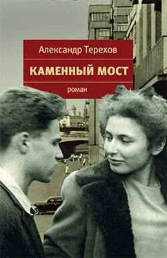 Александр Терехов Каменный мост обложка книги