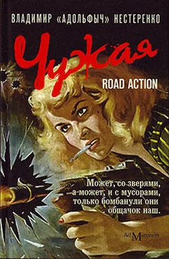 Владимир Нестеренко Чужая. Road Action обложка книги