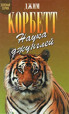 Джим Корбетт Наука джунглей обложка книги