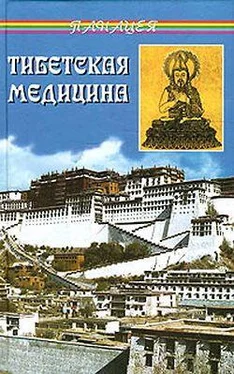 Петр Бадмаев Тибетская медицина обложка книги