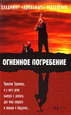 Владимир Нестеренко Огненное погребение обложка книги