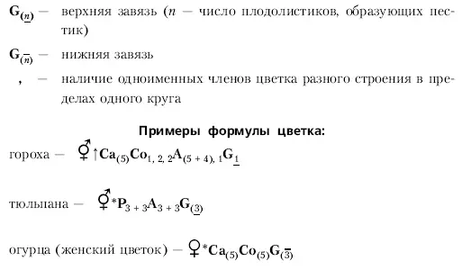 II Первые части сложных слов используемые для образования числительных - фото 84