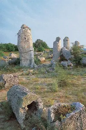 В Каменном лесу Устье реки Камчии Самая длинная река Болгарии впадает в - фото 13