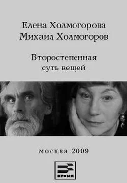 Михаил Холмогоров Второстепенная суть вещей обложка книги
