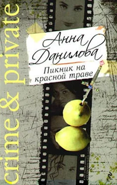 Анна Данилова Пикник на красной траве обложка книги