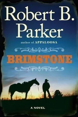 Robert Parker Brimstone обложка книги