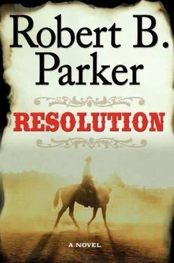 Robert Parker Resolution обложка книги