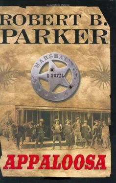 ROBERT PARKER Appaloosa обложка книги