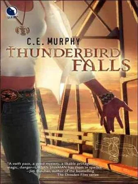 C.E. Murphy Thunderbird Falls обложка книги