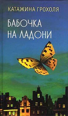 Катажина Грохоля Бабочка на ладони обложка книги