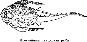 По многочисленным окаменелостям древних рыб можно проследить как развивалось и - фото 17