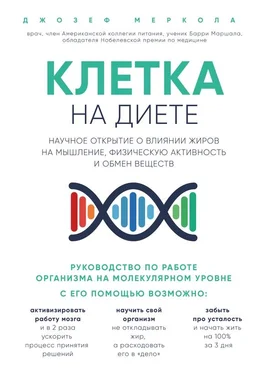 Джозеф Меркола Клетка «на диете». Научное открытие о влиянии жиров на мышление, физическую активность и обмен веществ обложка книги