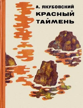 Аскольд Якубовский Стрелка (Рассказ охотника) обложка книги