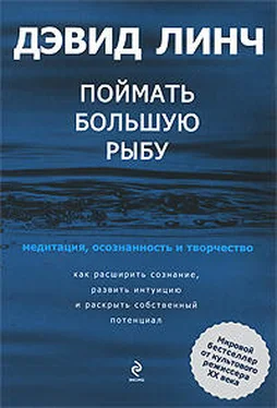 Дэвид Линч Поймать большую рыбу обложка книги