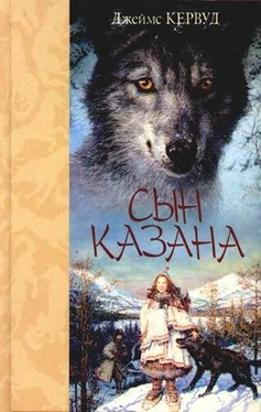 Джеймс Кервуд Сын Казана обложка книги