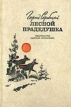 Георгий Скребицкий Лесной прадедушка (Рассказы о родной природе) обложка книги