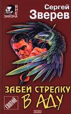 Сергей Зверев Забей стрелку в аду обложка книги