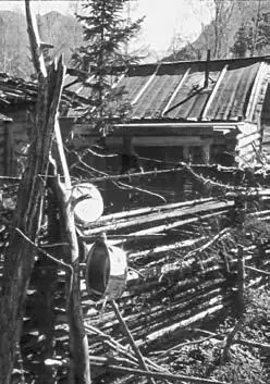 Заготовка рыбы впрок Копка картошки Гости в жилище Агафьи - фото 5