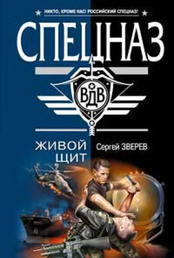 Сергей Зверев Живой щит обложка книги