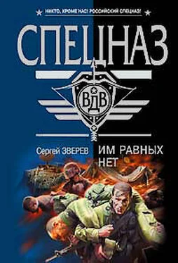 Сергей Зверев Им равных нет обложка книги