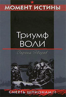 Сергей Зверев Триумф воли обложка книги