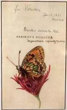 Владимир Набоков Стихотворения, не вошедшие в сборники обложка книги