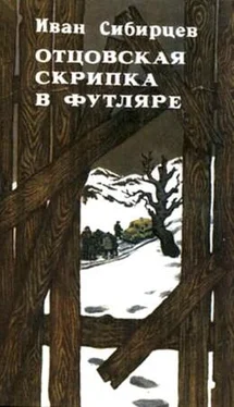 Иван Сибирцев Отцовская скрипка в футляре (сборник) обложка книги