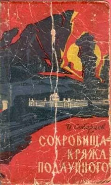 Иван Сибирцев Сокровища Кряжа Подлунного обложка книги