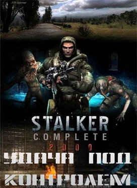 Александр Лукьянов S.T.A.L.K.E.R. Удача под контролем обложка книги