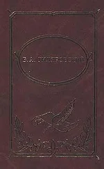 Владимир Гиляровский - Том 1. Мои скитания. Люди театра