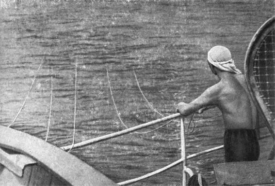 Дежурство на троллах Когда же клюнет Летучая рыба Морской огурец - фото 17