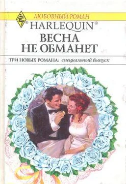 Сандра Стеффен Весна не обманет обложка книги