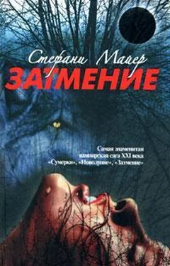 Стефани Майер Затмение обложка книги
