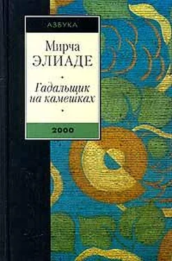 Мирча Элиаде Гадальщик на камешках (сборник) обложка книги