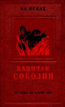 Александр Исбах Капитан Соколин обложка книги