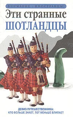 Дэвид Росс Эти странные шотландцы обложка книги