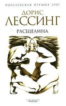 Дорис Лессинг Расщелина обложка книги