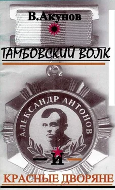 Вольфганг Акунов Тамбовский волк и красные дворяне обложка книги