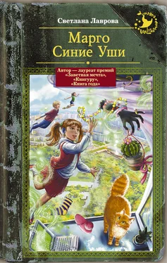 Светлана Лаврова Марго Синие Уши (сборник) обложка книги