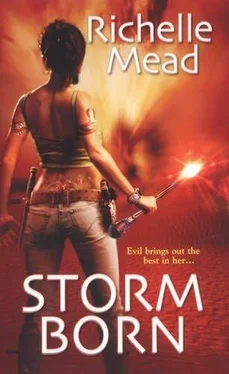 Richelle Mead Storm Born обложка книги