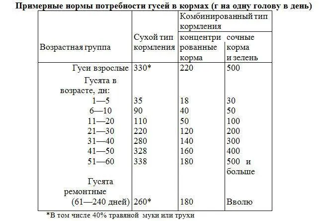 Гусакам у которых в продуктивный период снижается живая масса помимо общего - фото 17