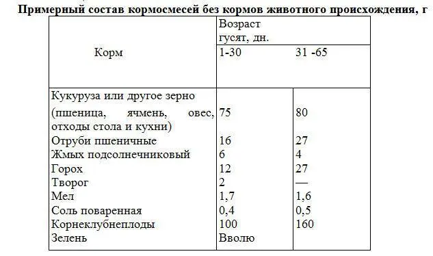 Потребность в витаминах удовлетворяли за счет зеленых кормов которые - фото 18
